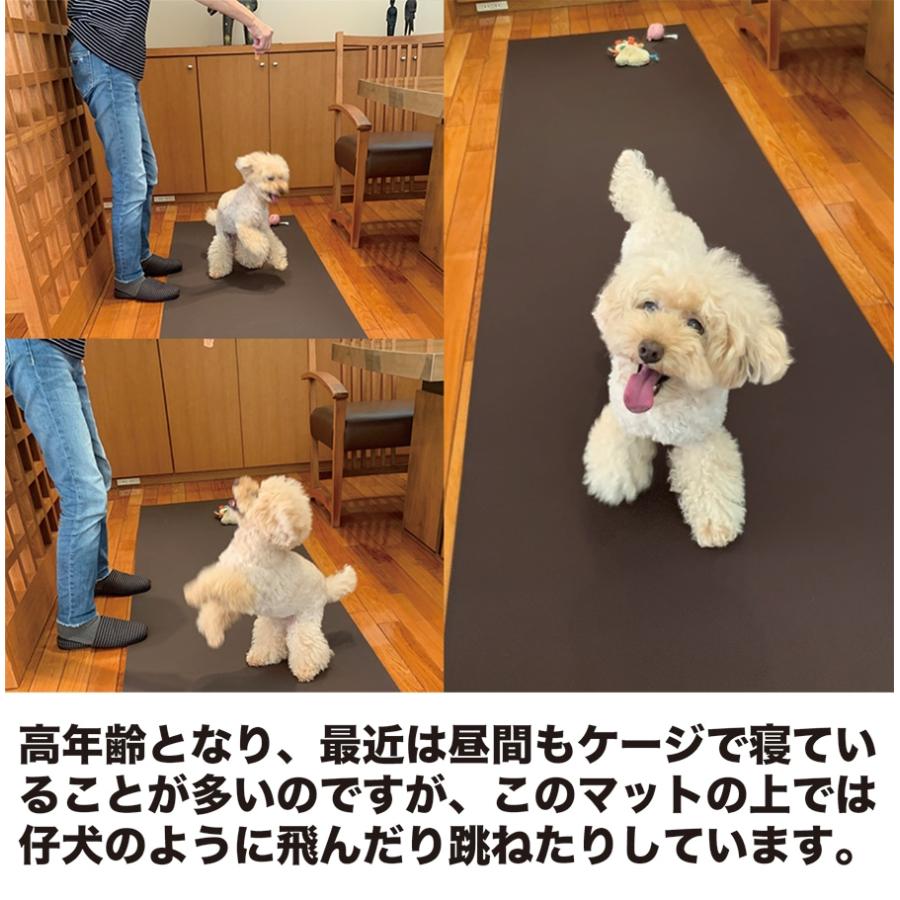 スタッドレスマット 愛犬のための室内用 滑り止めマット HOME CHOCO