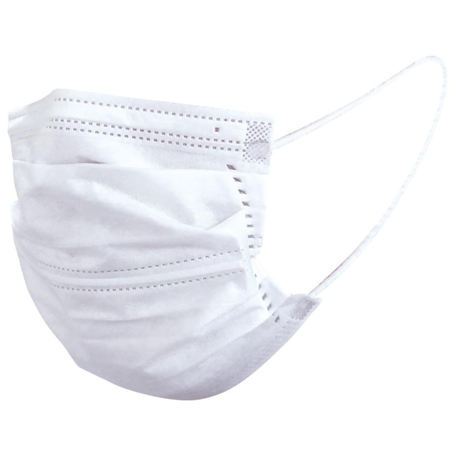 大黒工業　サージカルマスク　フレッシュプラス　ホワイト　Lサイズ５０枚入りx２箱 大黒工業 フレッシュプラス 不織布マスク 3層構造 Lサイズ 50枚