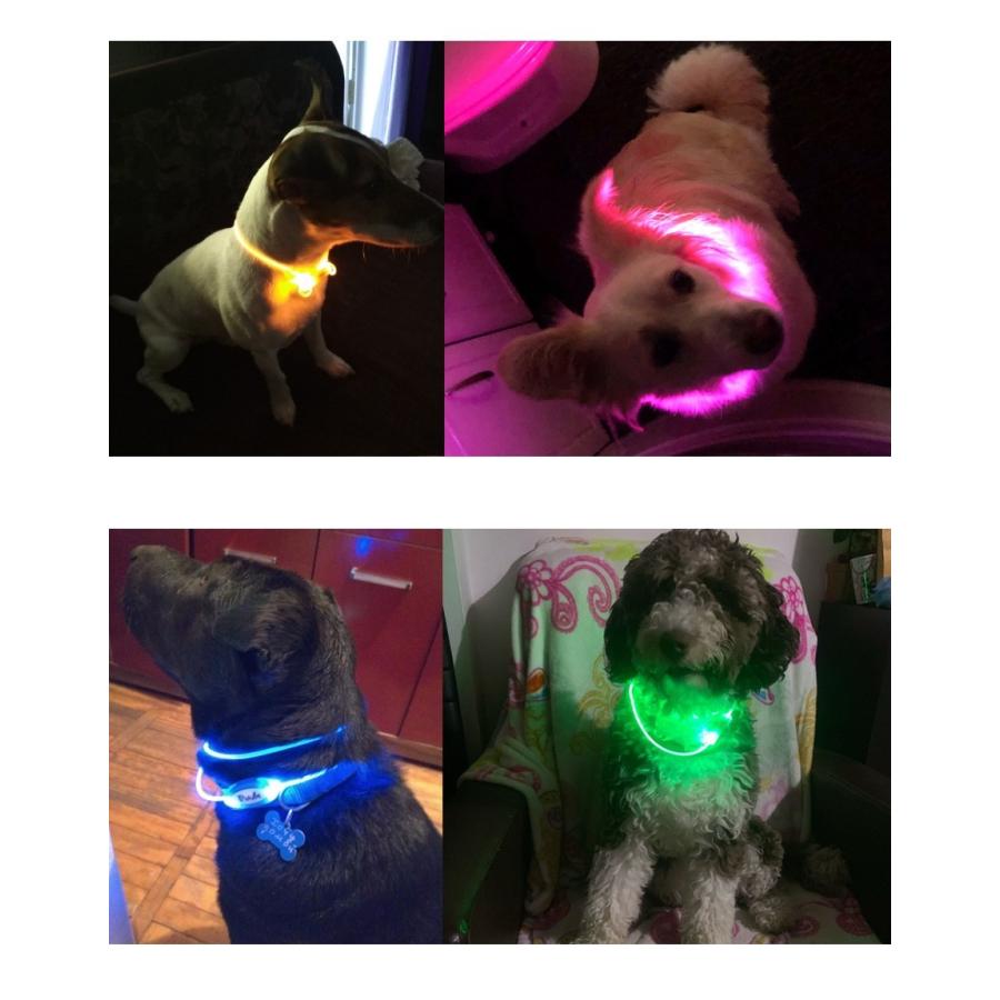 犬 首輪 光る Led 輪っか ペット 夜間 散歩 事故防止 安全 メール便送料無料 即納 Sho Ledring ノップノップ 通販 Yahoo ショッピング