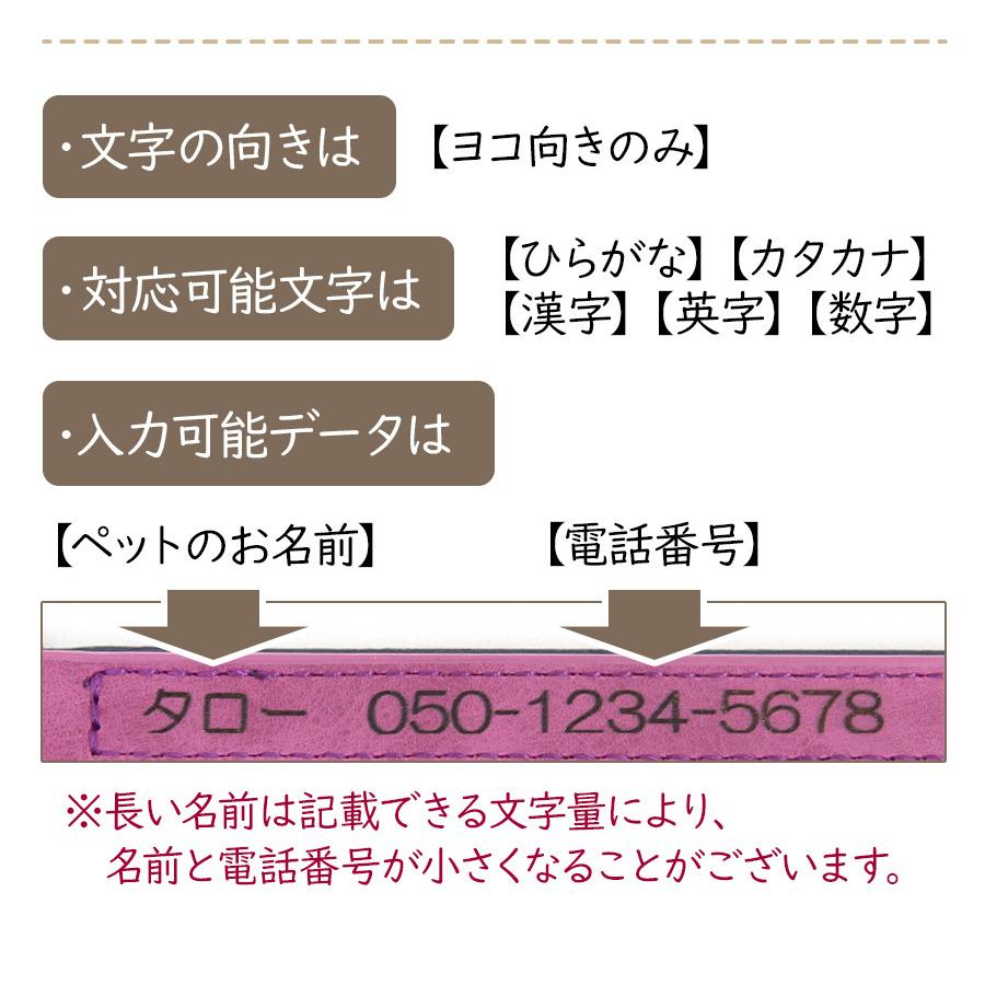 犬 首輪 名入れ リード おもちゃ セット 迷子札 超軽量 犬 いぬ 猫 ねこ ペット 名前入れ ネーム入り 名札 かわいい おしゃれ 小型犬 中型犬 大型犬 送料無料 Sho Ltpetset ノップノップ 通販 Yahoo ショッピング