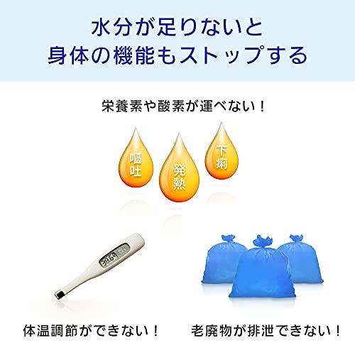 大塚製薬工場 経口補水液 オーエスワン 500mlx24本｜noraneko-kobo｜07