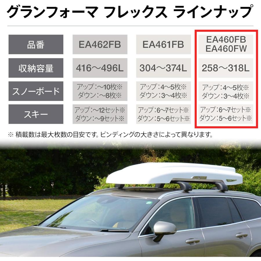 PIAA PIAA(ピア) ルーフボックス テルッツォ(Terzo) 258L?318L