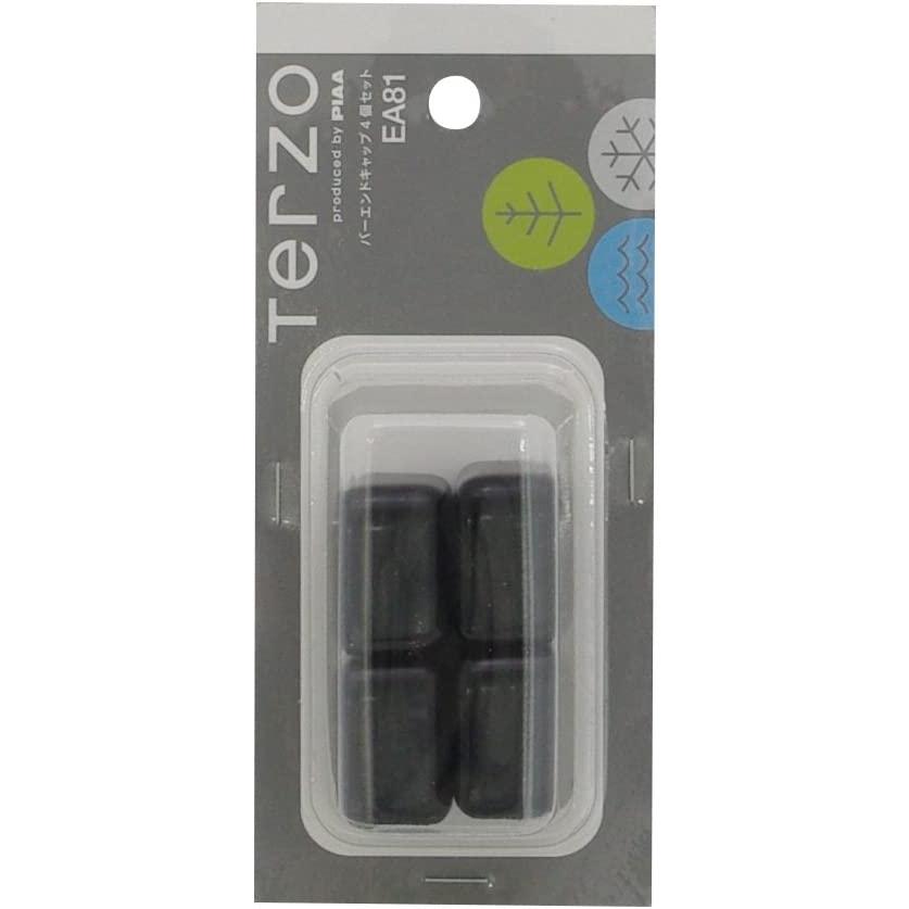 Terzo テルッツォ by PIAA ベースキャリア オプション 4個入 バーエンドキャップ ブラック 【70系ノア/ヴォクシー 30系アルファード/ヴェルファイア】 EA81 | PIAA | 01