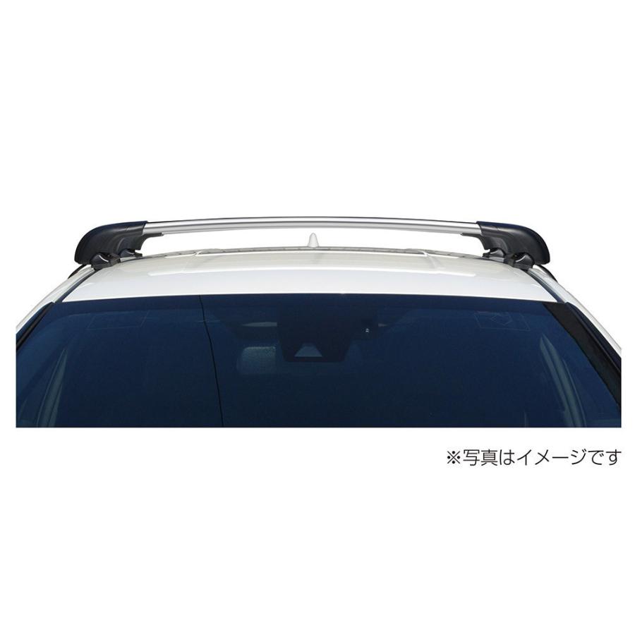 Terzo テルッツオ エアロバー アルミベースバー シルバー EB116AB 116cm 1本入り スマートバー 収納 車 車載 ホルダー ベースキャリア PIAA ピア | PIAA | 02