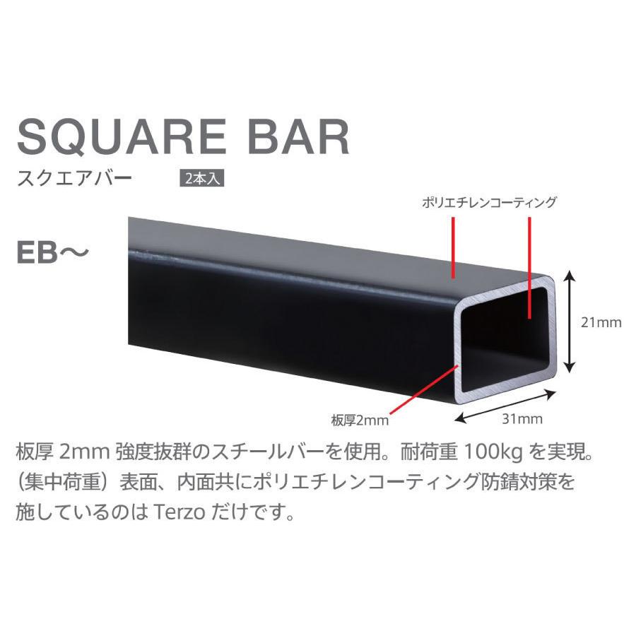 Terzo テルッツォ  by PIAA  ベースキャリア バー 2本入 スクエアバータイプ ブラック 137cm エンドキャップ付 EB6 ピア | PIAA | 01