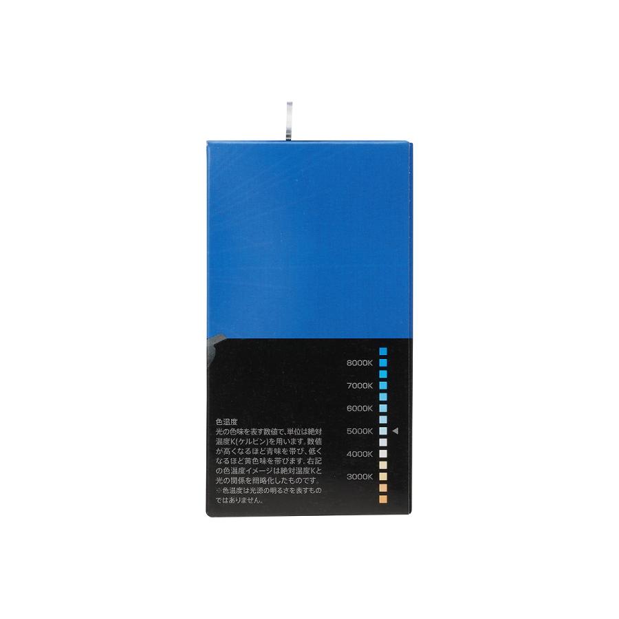 PIAA ピア ヘッドランプ/フォグランプ用 ハロゲンバルブ H4 5000K