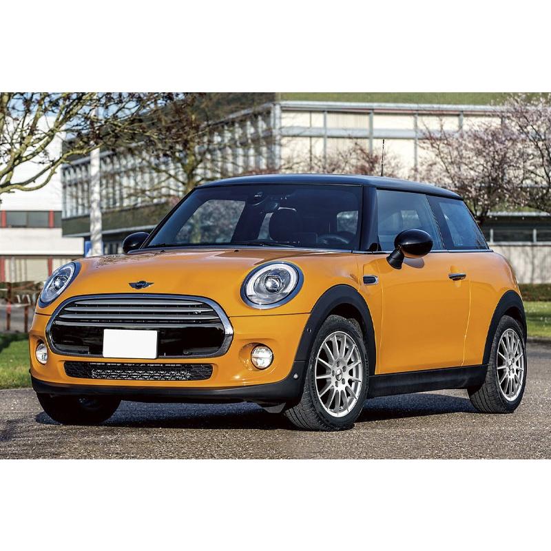 2本毎販売】②Targa Irvine(タルガアーバイン)14inch 4本