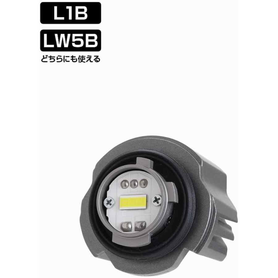 PIAA ピア 車用 フォグライト用 LED 純正交換用バルブ 6000K LEF501