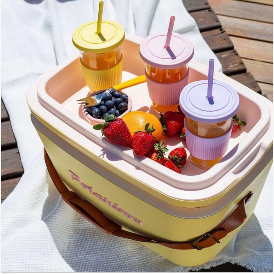ポーラーボックス Polarbox 20L クーラーボックス | クラシック
