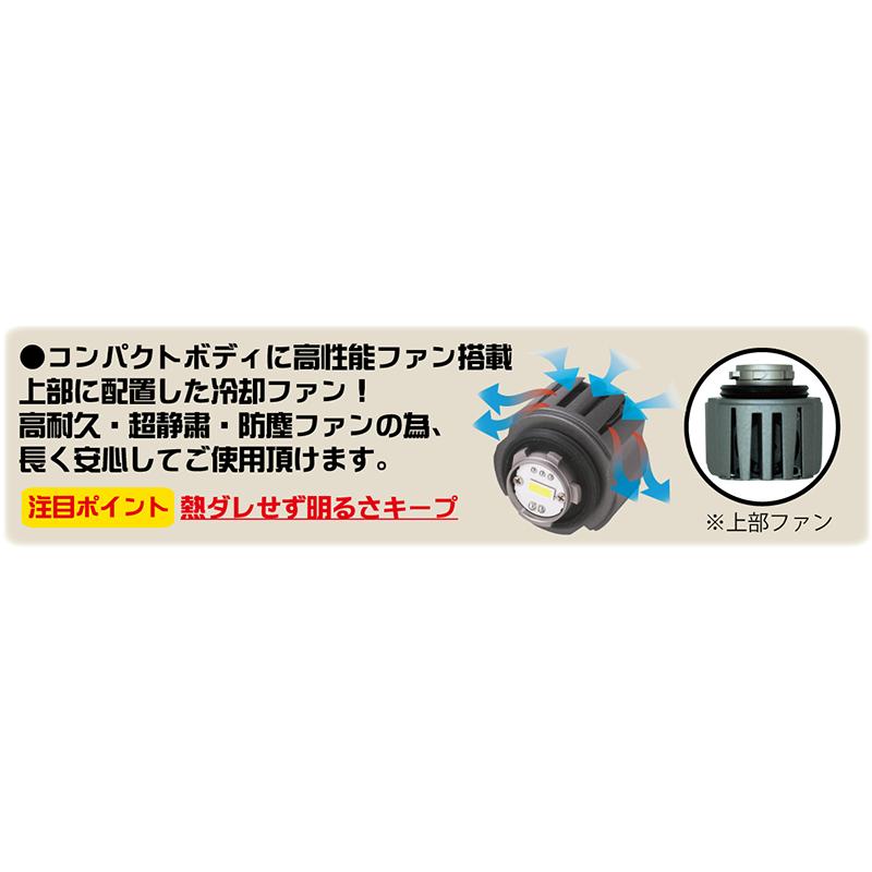 RG レーシングギア RGH-P901 純正LED交換用 LED フォグバルブ 【 L1B