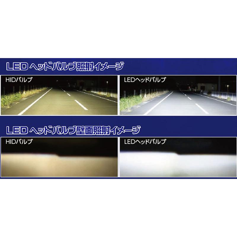 D4S型 LEDヘッドバルブ RGH-P911 6500K