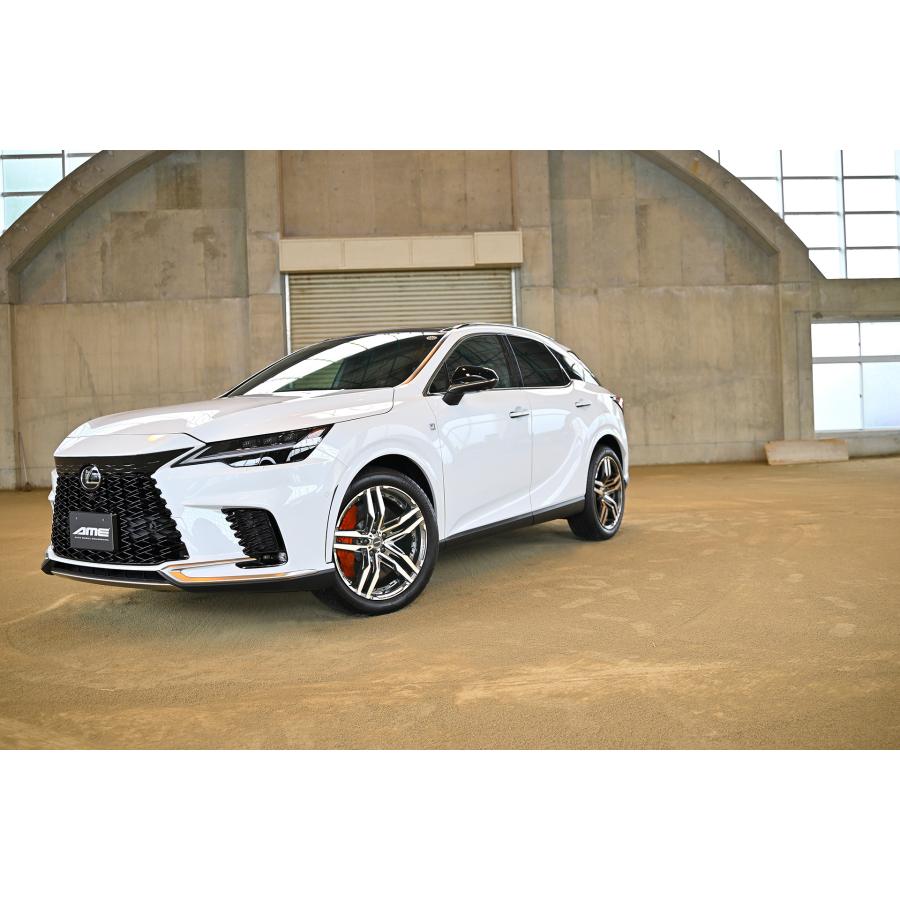 AME シャレン 20インチ PCD120 rg-sbc-wheel.jpg