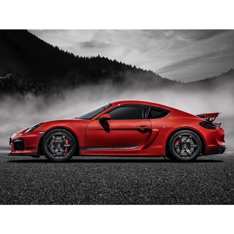 RAYS レイズ TE37 SAGA S-plus VOLK RACING 19インチ 8.5J ブロンズ