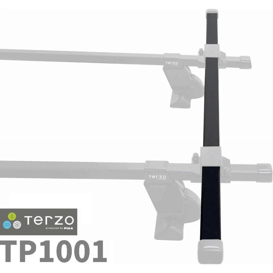 【売却済】デュアリス用　ベースキャリア　Terzo(PIAA)　 PIAA Terzo テルッツォ (by PIAA) ベースキャリア バー 1本入 スクエア