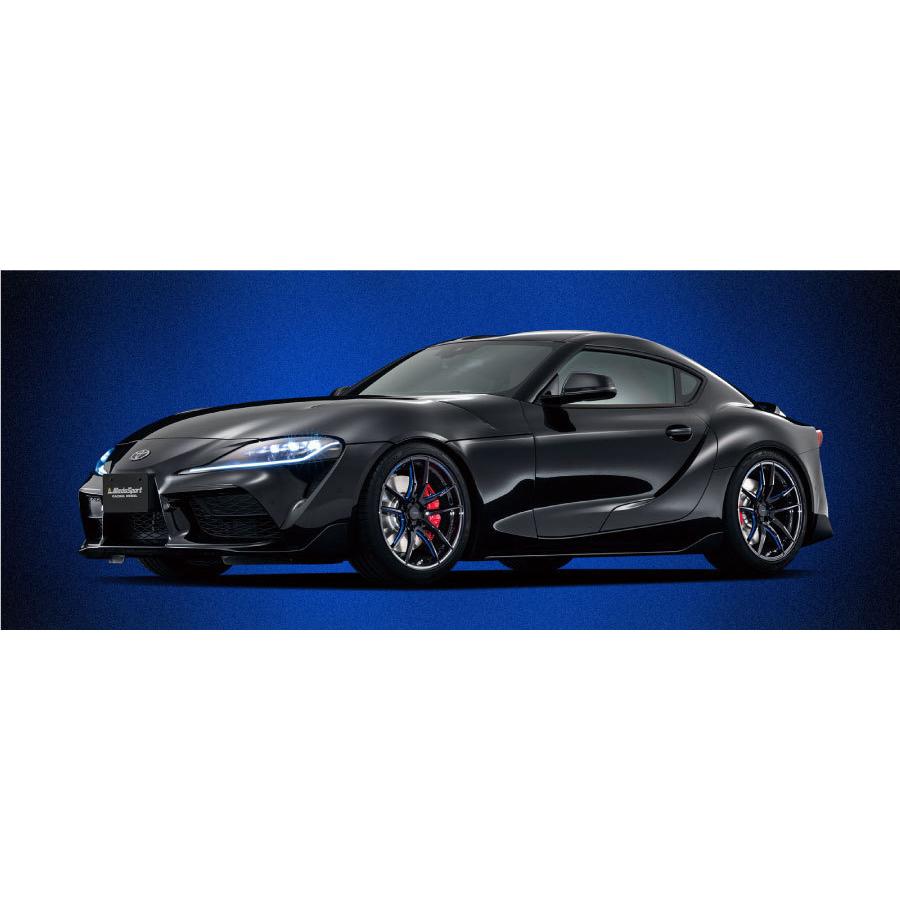 ウェッズスポーツ RN55M 19インチ 9.5J インセット28 5穴 FACE R