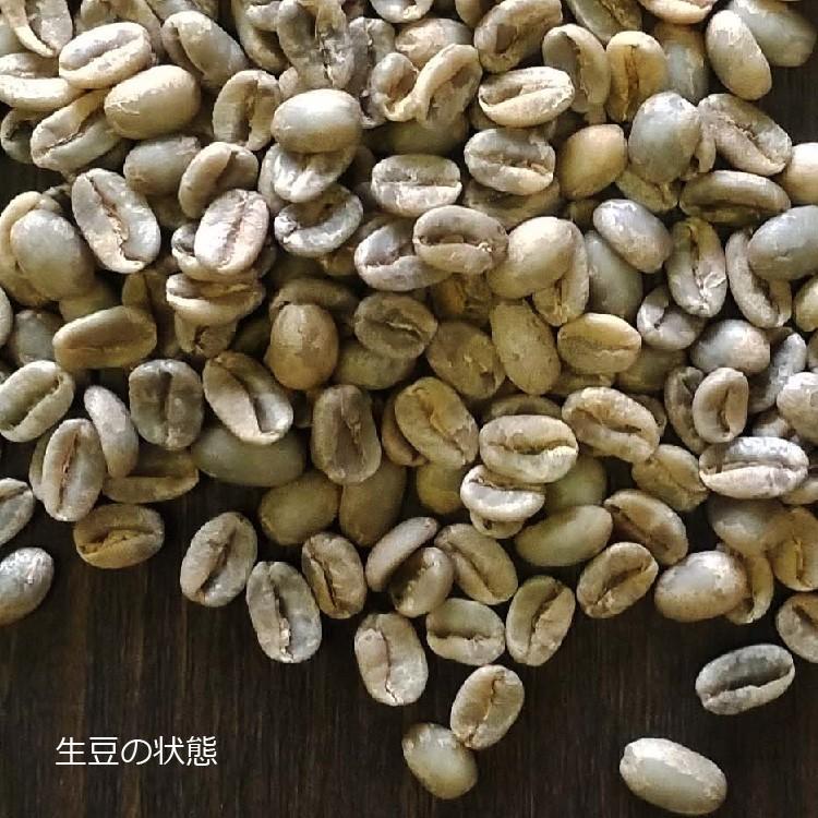 パナマ ゲイシャ エスメラルダ農園 プライベートコレクション 100g