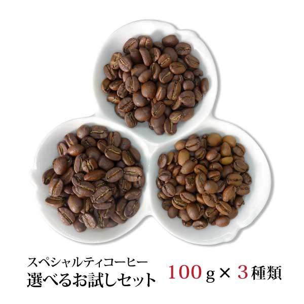 コーヒー豆  スペシャルティコーヒー 選べる お試し セット 100g×3種類｜nordcoffee