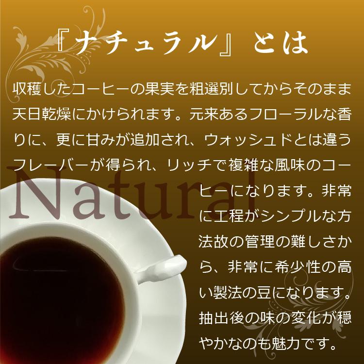 送料無料！パナマ ゲイシャ ウォッシュド ドリップバッグ 各10g×5個入｜nordcoffee｜06