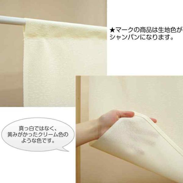 のれん工房 のれん 和風 モダン 暖簾 和柄 葛飾北斎 85cm幅 150cm丈