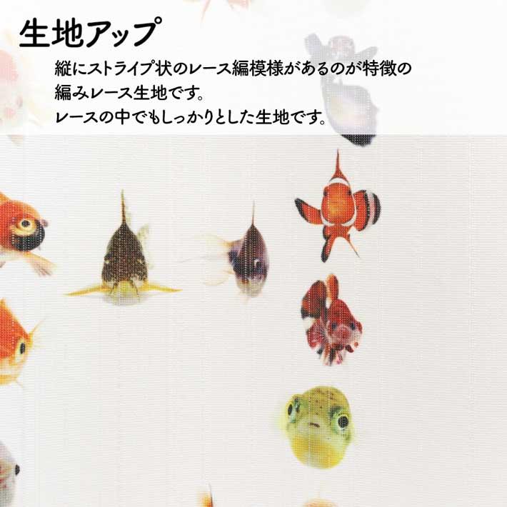のれん 暖簾 金魚 熱帯魚 魚柄 洋風 85cm幅 150cm丈 間仕切りタペストリー うおづら 魚 白 水色 夏 (受注生産 99700) | のれん工房 | 05