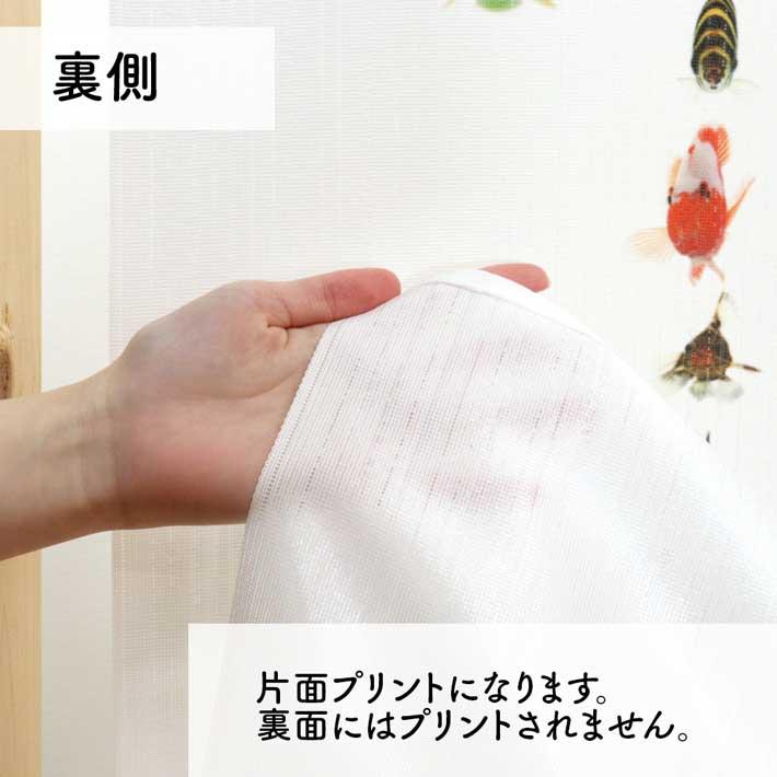 のれん 暖簾 金魚 熱帯魚 魚柄 洋風 85cm幅 150cm丈 間仕切りタペストリー うおづら 魚 白 水色 夏 (受注生産 99700) | のれん工房 | 07
