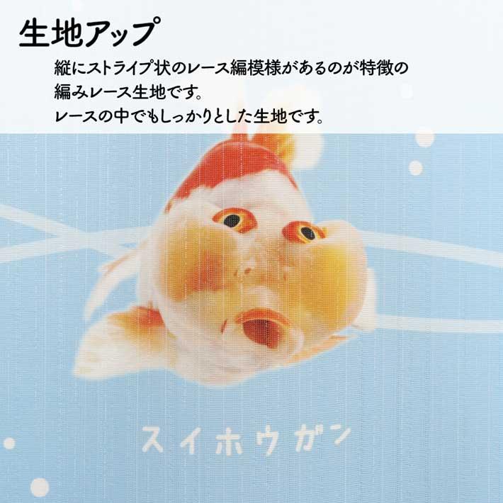 のれん 暖簾 金魚 熱帯魚 魚柄 洋風 85cm幅 150cm丈 間仕切りタペストリー うおづらセレクション 白 水色 夏 (受注生産 99701) | のれん工房 | 05