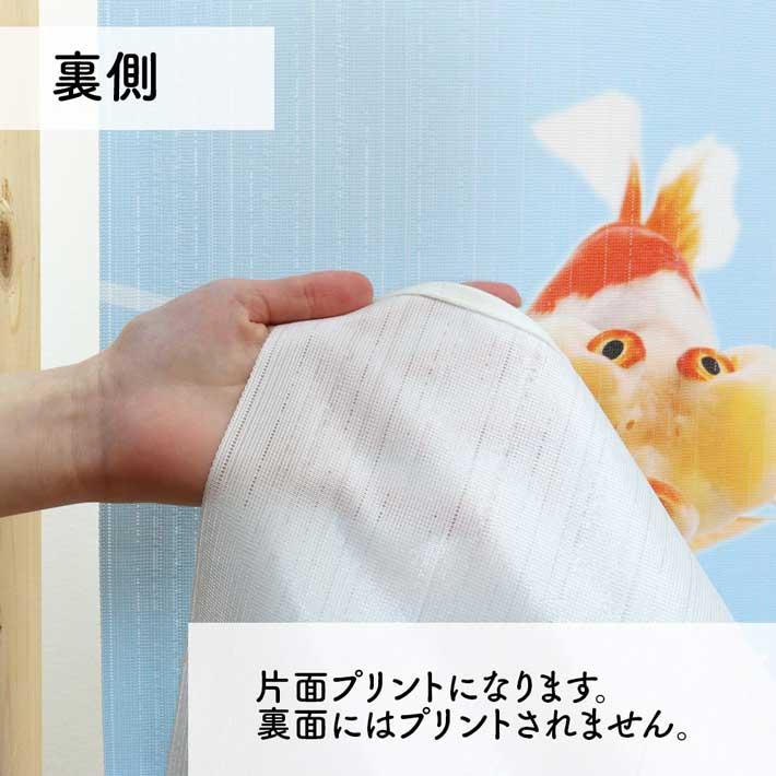 のれん 暖簾 金魚 熱帯魚 魚柄 洋風 85cm幅 150cm丈 間仕切りタペストリー うおづらセレクション 白 水色 夏 (受注生産 99701) | のれん工房 | 07