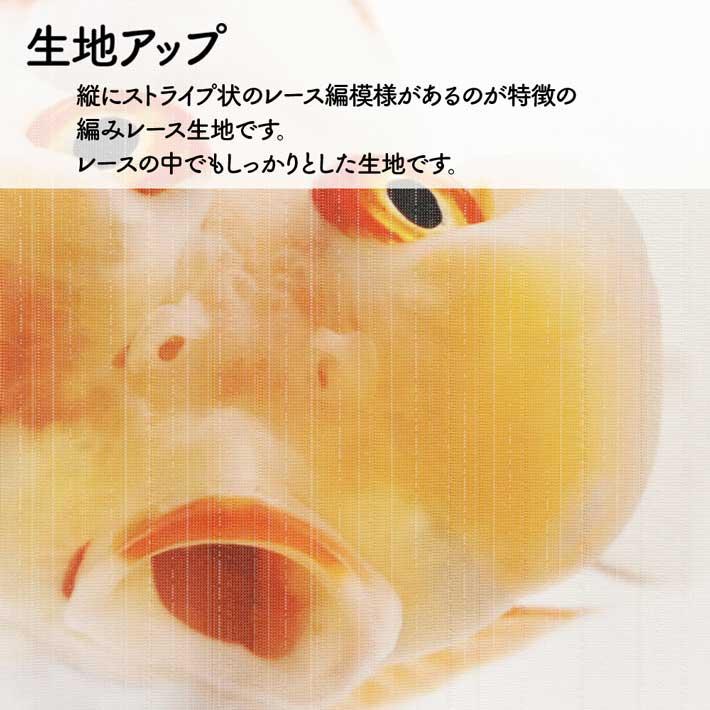 のれん 暖簾 金魚 熱帯魚 魚柄 洋風 85cm幅 150cm丈 間仕切りタペストリー うおづら 水泡眼 すいほうがん 夏 (受注生産 99703) | のれん工房 | 06