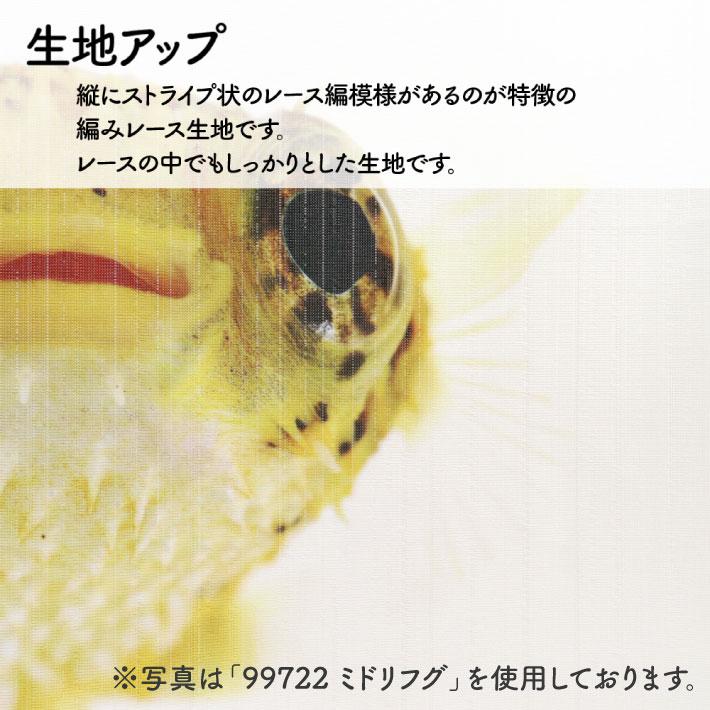 のれん 暖簾 金魚 熱帯魚 魚柄 洋風 85cm幅 150cm丈 間仕切りタペストリー うおづら ピンポンパール 白 夏 (受注生産 99706) | のれん工房 | 06