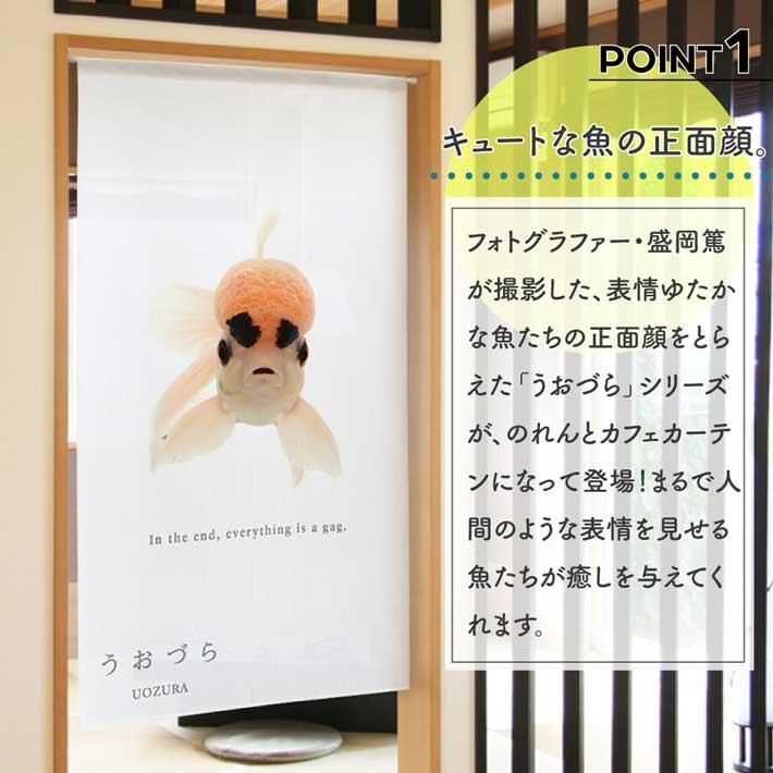 のれん 暖簾 金魚 熱帯魚 魚柄 洋風 85cm幅 150cm丈 間仕切りタペストリー うおづら ライオンヘッドバルーンオランダ (受注生産 99711) | のれん工房 | 01