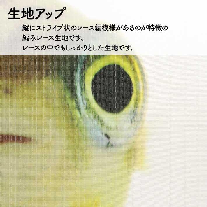 のれん 暖簾 金魚 熱帯魚 魚柄 洋風 85cm幅 150cm丈 間仕切りタペストリー うおづら アベニーパファー 白 夏 (受注生産 99715) | のれん工房 | 06