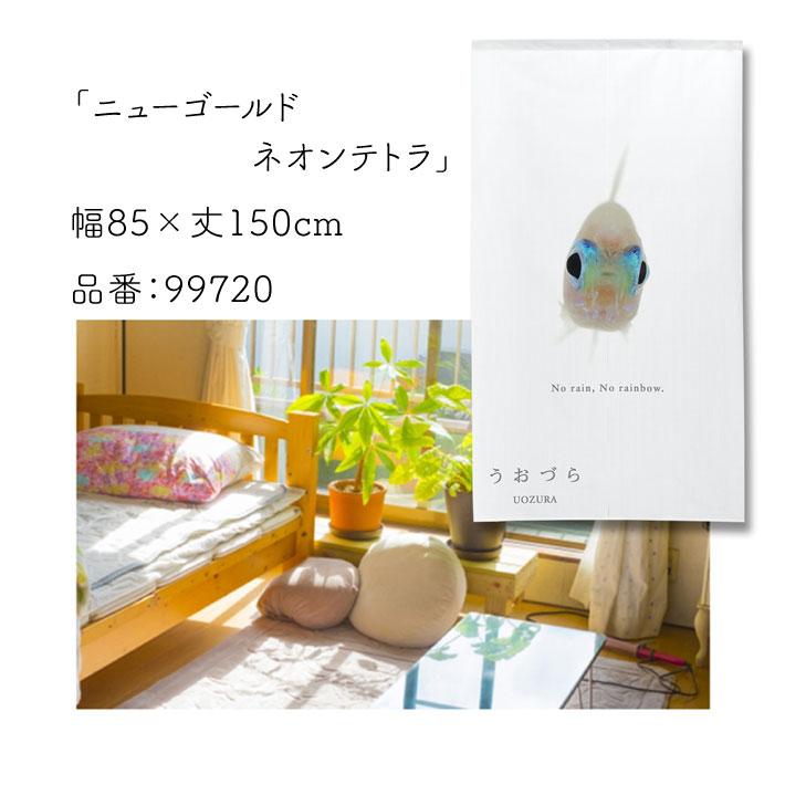 のれん 暖簾 金魚 熱帯魚 魚柄 洋風 85cm幅 150cm丈 間仕切りタペストリー うおづら ニューゴールドネオンテトラ 白 夏 (受注生産 99720) | のれん工房 | 05