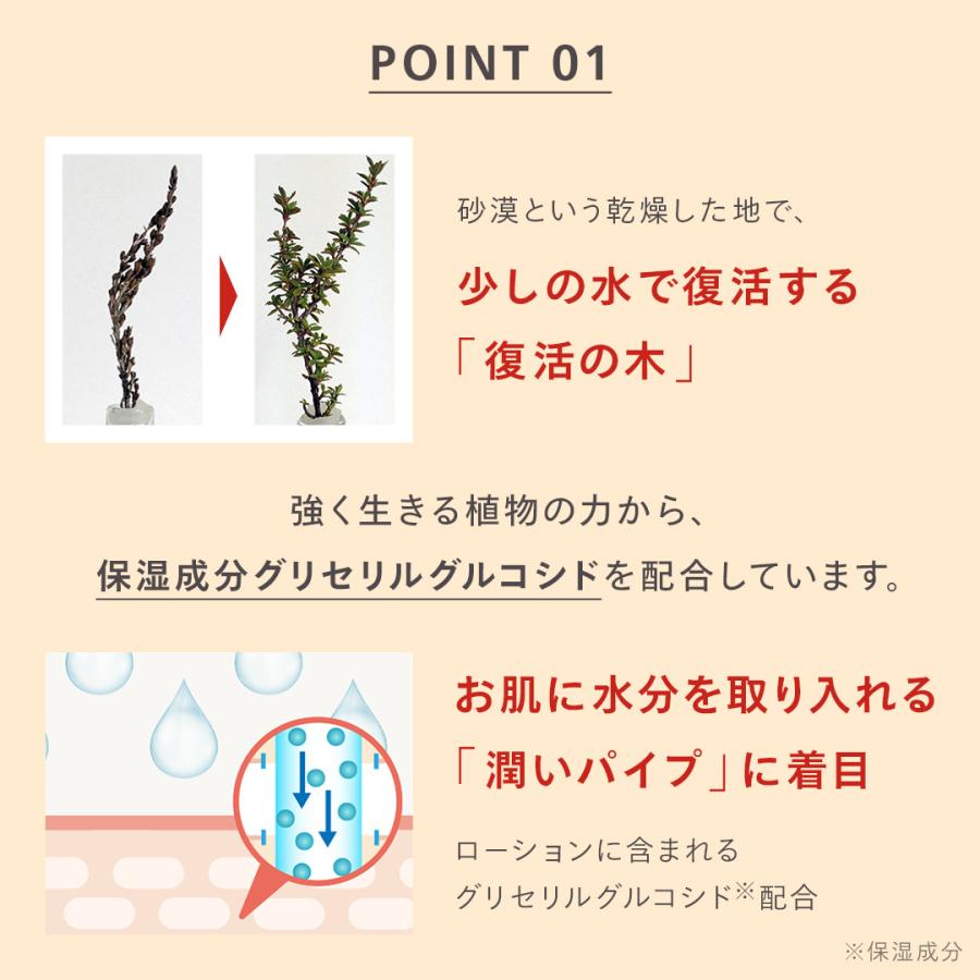 N organic（エヌオーガニック） Nオーガニック 公式 Basic 化粧水