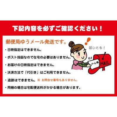 極上有明産焼き海苔50枚 進物こぼれのり2袋セット メール便送料無料【メール*45】手巻寿司 おにぎり おにぎらず 折りたたみキンパ|nori753|02