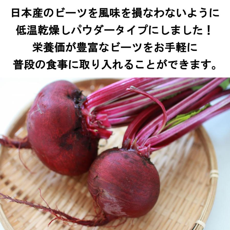 乾燥野菜 ビーツパウダー ジャパンドライベジ にほんのやさい ビーツ パウダータイプ 100g スムージー お菓子 ポタージュ メール便送料無料 |  | 01