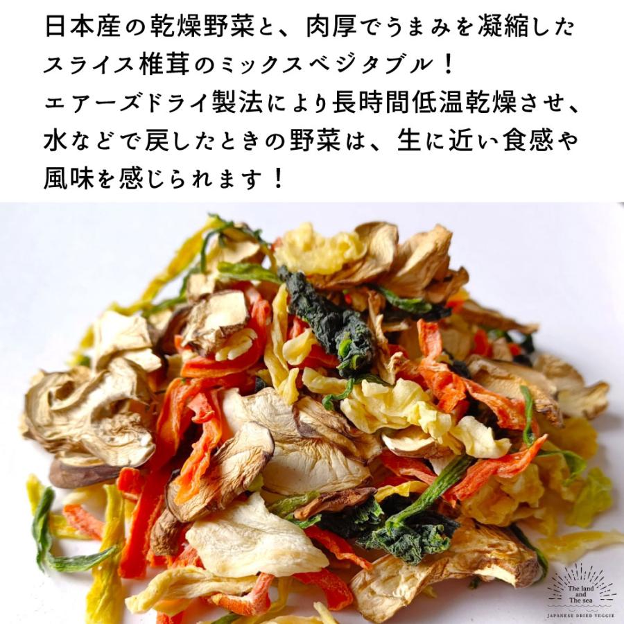 乾燥野菜 味噌汁の具 ジャパンドライベジ にほんのやさい椎茸と野菜 