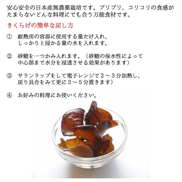 きくらげ 国産 日本産乾燥きくらげ（静岡県産） 100g×2袋 完全無農薬