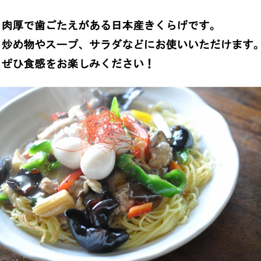 きくらげ 国産 日本産乾燥きくらげ（静岡県産） 100g×2袋 完全無農薬