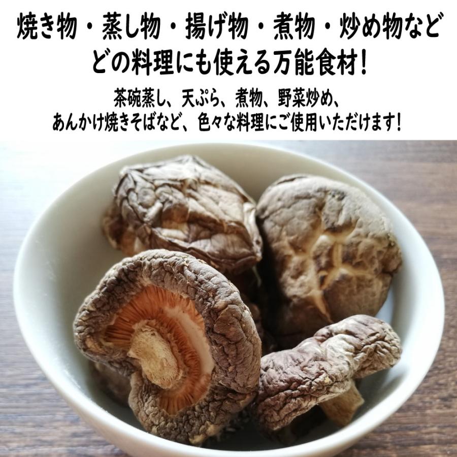 干し椎茸 どんこ 菌床 業務用 500g 乾燥椎茸 乾しいたけ 足切 大容量