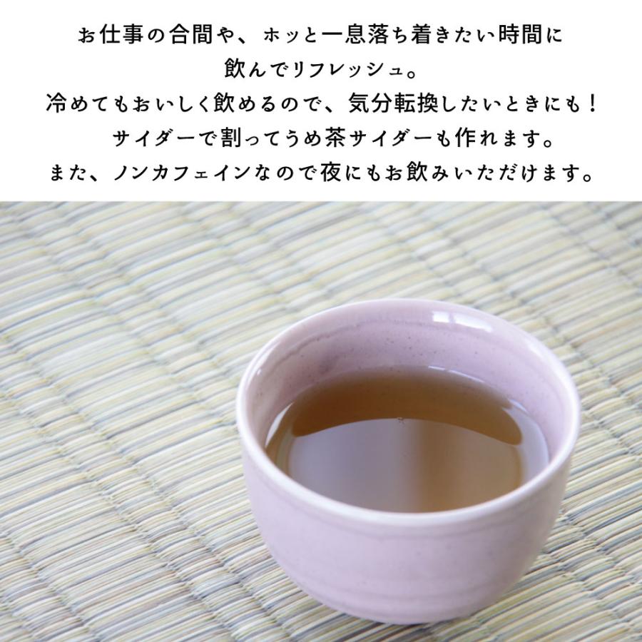 うめ茶 3g×8P 4袋セット(32本) かね七 食物繊維入り 梅 梅肉 パスタ 炊き込みご飯 スティックタイプ メール便送料無料 |  | 04
