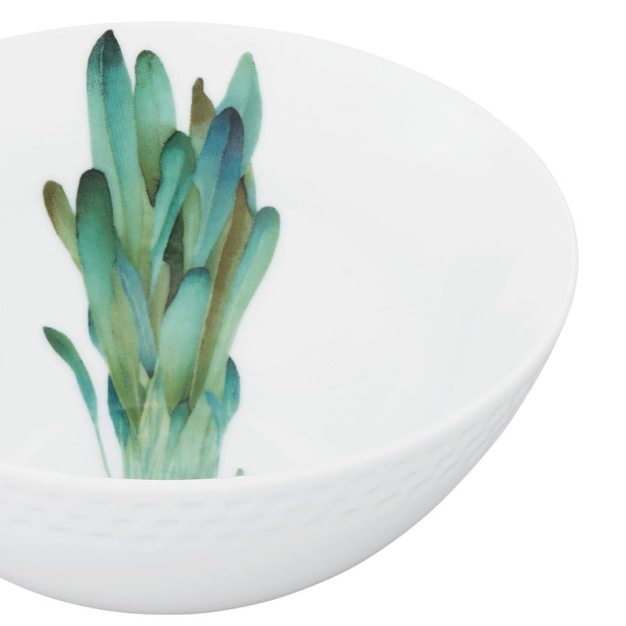 クローバー様 ノリタケ 京香旬彩 14cm ボウル5個セット お皿5枚セット