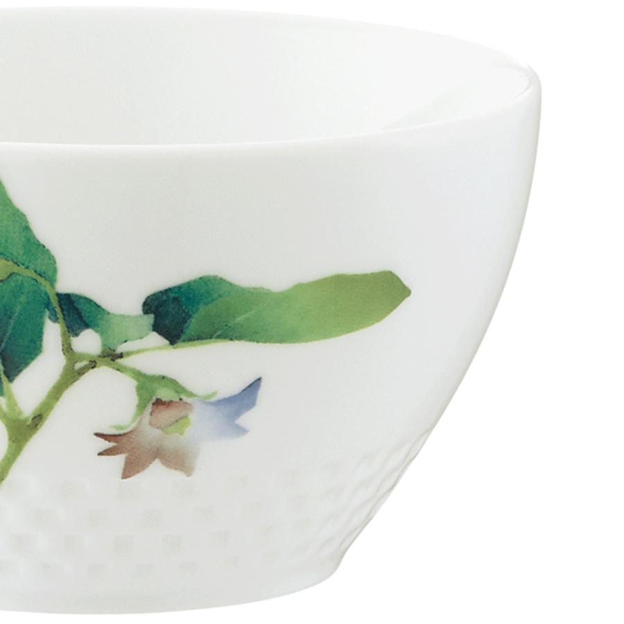 Noritake 京香旬彩プレート大小 ボウル 食器セット 11点 ノリタケ 京香旬彩 11cmボウルセット(絵変り5個) ( 電子レンジ対応 食