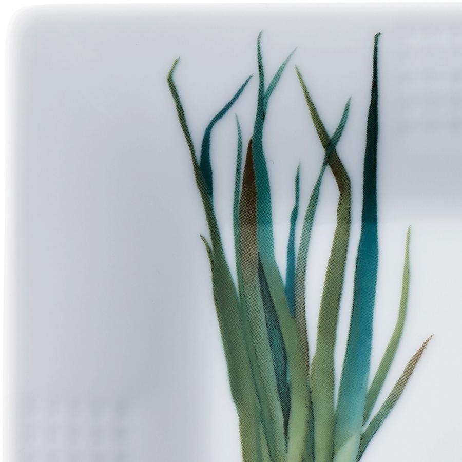 ノリタケ 京香旬彩 15cmスクエアプレート(絵変り5枚) ( 電子レンジ対応