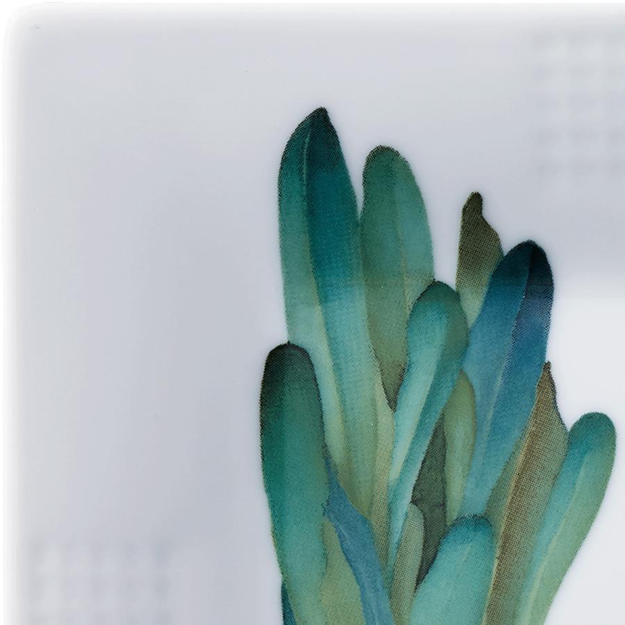 ノリタケ 京香旬彩 15cmスクエアプレート(絵変り5枚) ( 電子レンジ対応