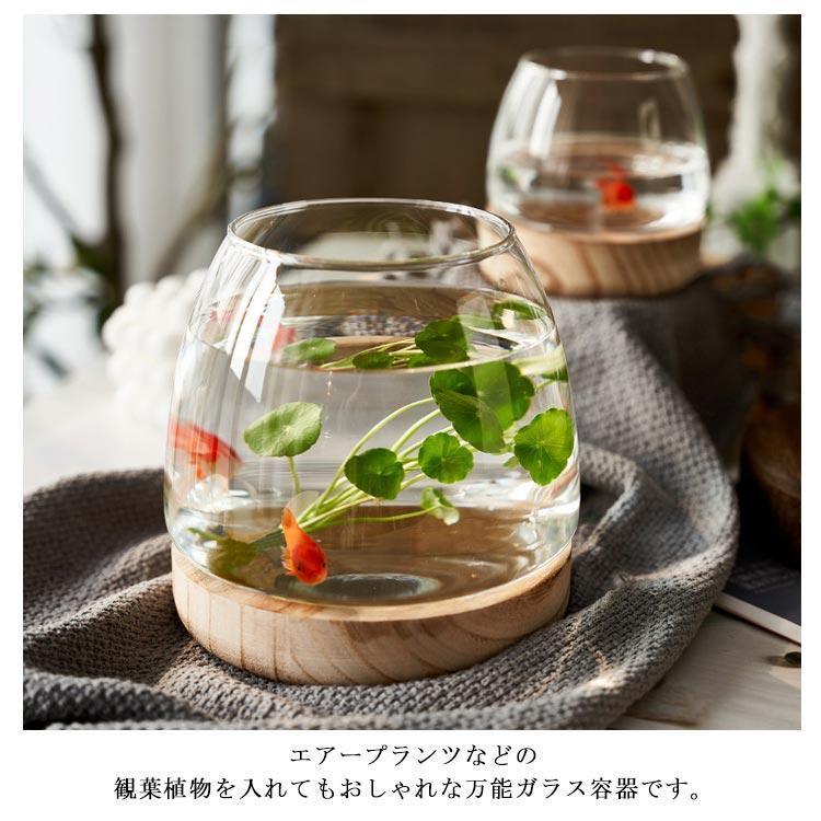 金魚鉢 ガラス製 天然木 丸型 水槽 メダカ鉢 透明 クリア 丸 鉢