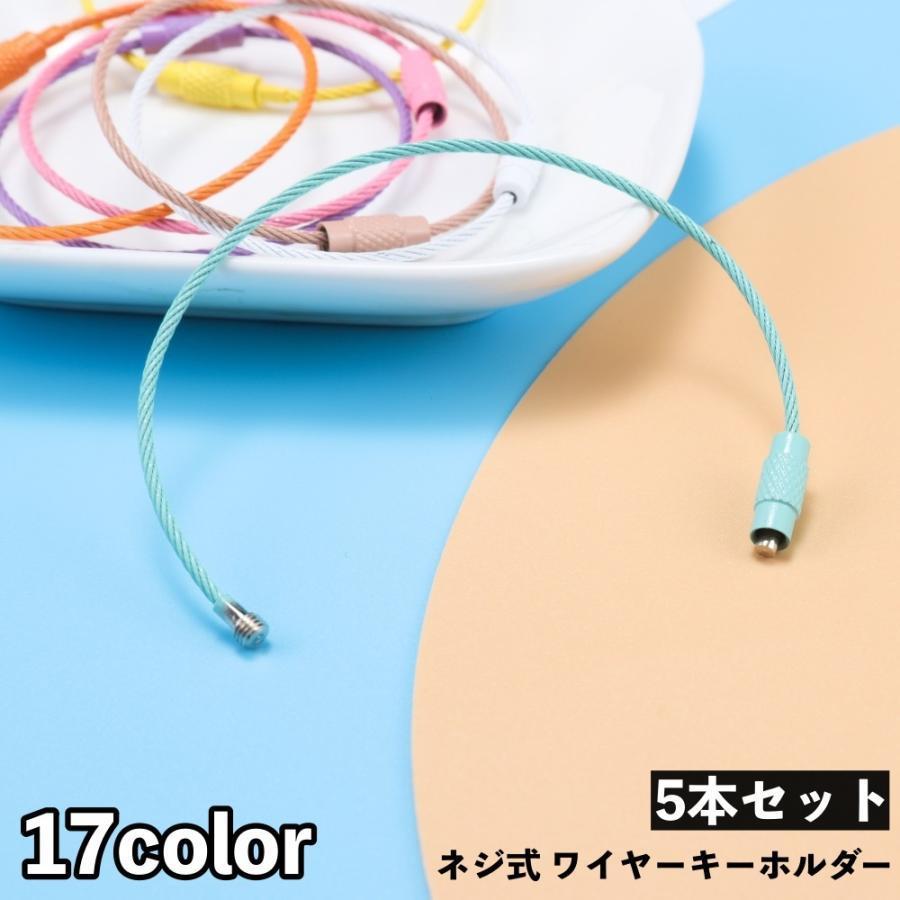 ワイヤーキーホルダー 5本セット ネジ式 ワイヤーリング キーリング 鍵