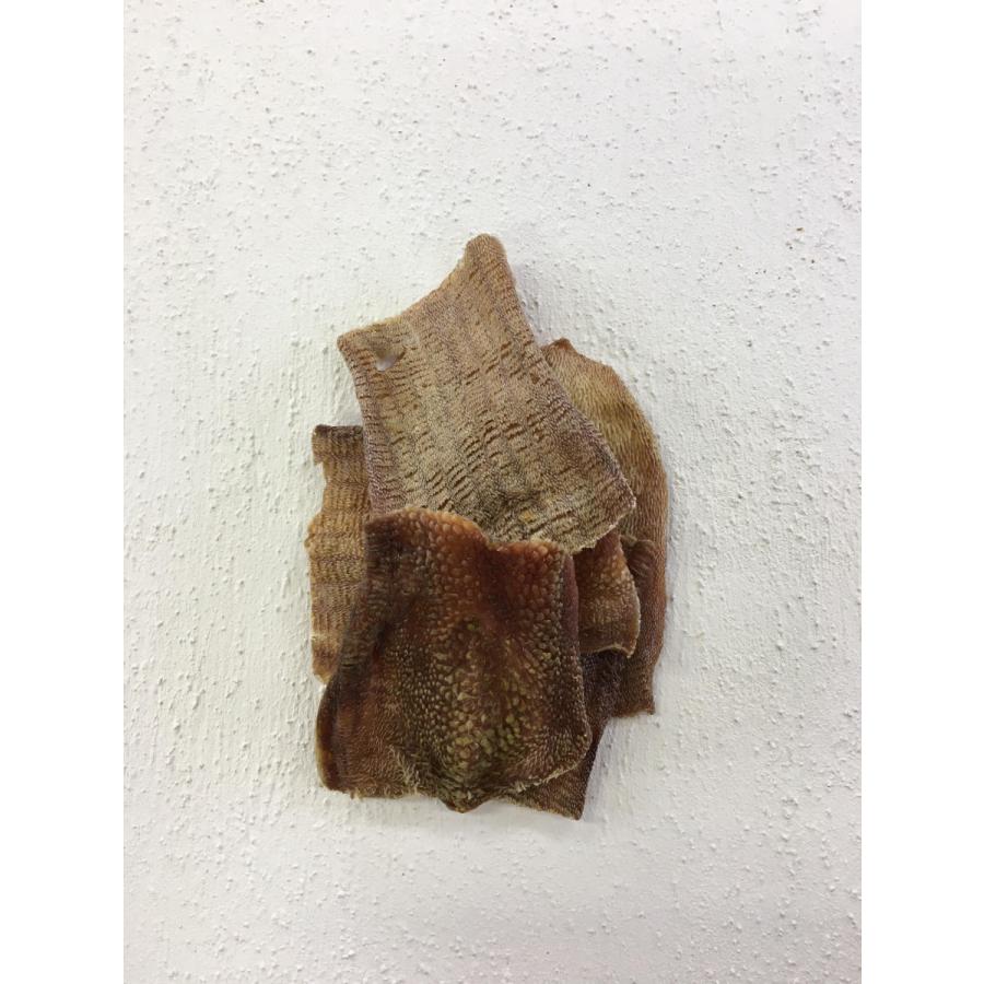 ガッツリジャーキー　牛タン皮　ペットのおやつ　 無添加　国産　ハンドメイド 　おやつ　40g |  | 01