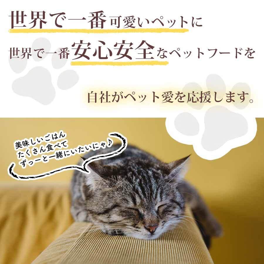 ソフトジャーキー　レバー・ハツ　ペットのおやつ　無添加　国産　ハンドメイド　おやつ　３０g |  | 04