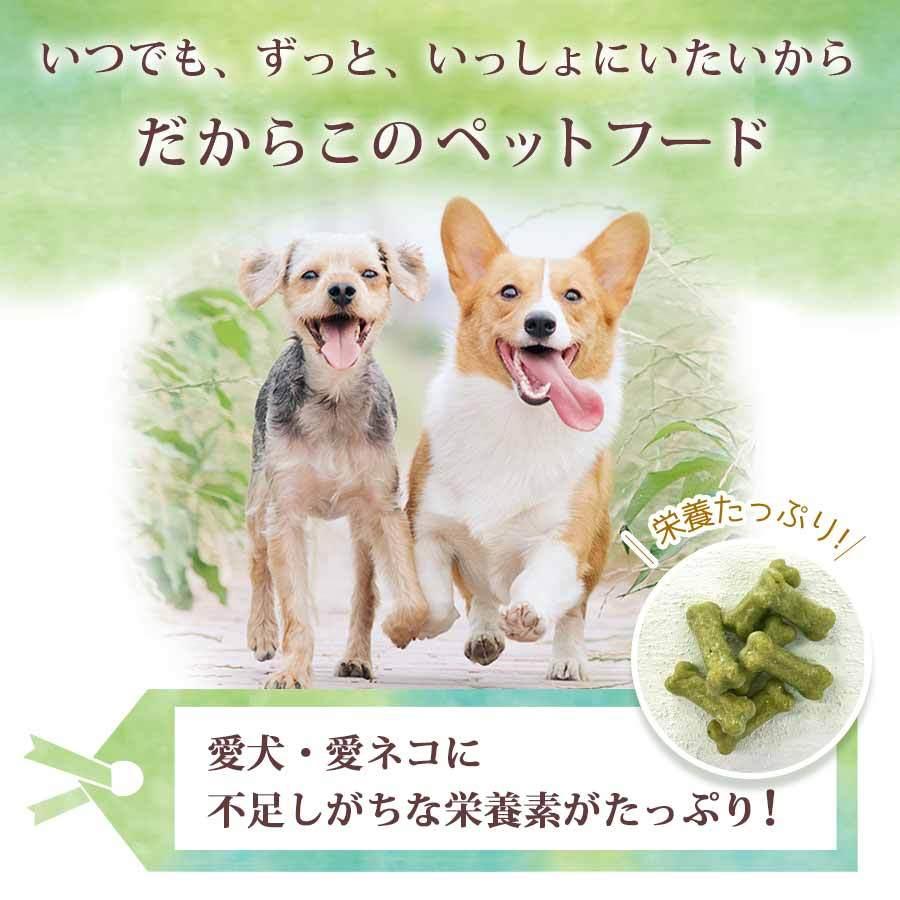 さつま芋クッキー　ペットのおやつ 　無添加 　国産　ハンドメイド　おやつ　60g |  | 03