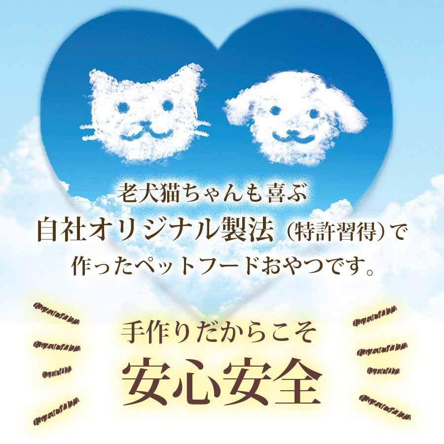 かぼちゃ・人参クッキー　無添加　国産　ハンドメイド　　ペットのおやつ　60g　 |  | 05